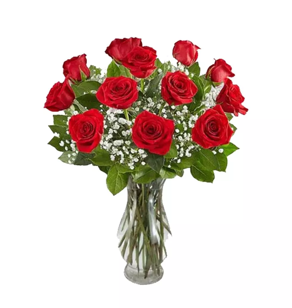 Rose Elegance Premium Long Stem Red Roses